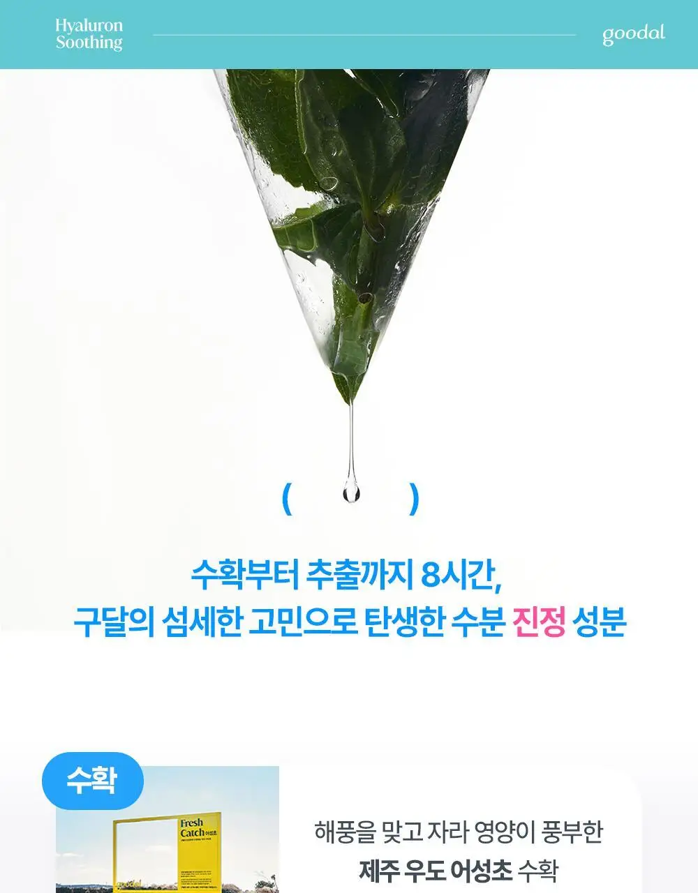 [단독 리필기획] 구달 어성초 히알루론 수딩 토너 350ml 리필 기획 (+350ml 리필) 상세페이지 18
